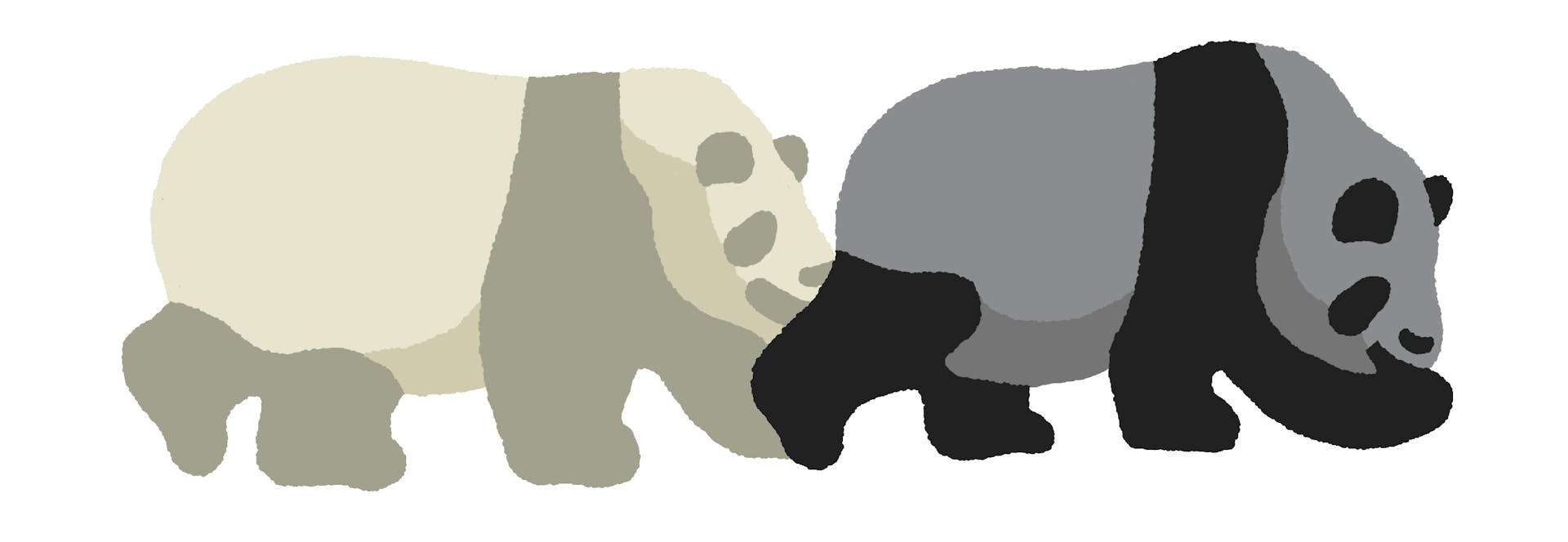 Shiro Kuro Pandas